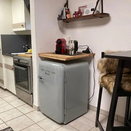 Apartment House St-george Alpine With Terrace And View On Village *