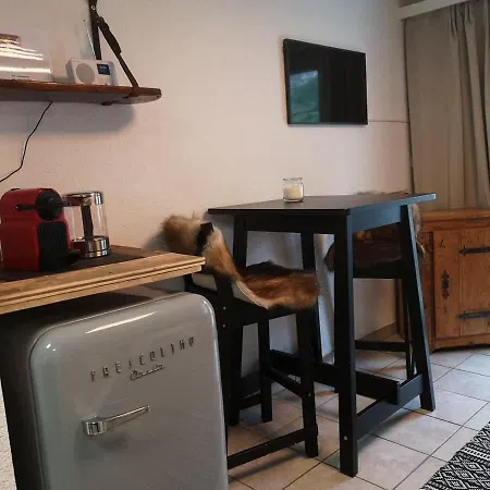 House St-george Alpine With Terrace And View On Village Zermatt